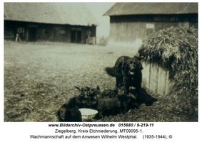 Ziegelberg Kr. Elchniederung, Kreis Elchniederung 