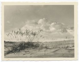  Kurische Nehrung, Dünengras und Wolken am Spätnachmittag Kurische Nehrung, Dünen