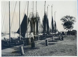 Fischhausen, Stadt, Kreis Samland Fischhausen, Fischerboote im Hafen II 