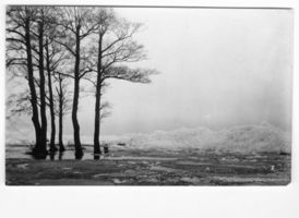 Rinderort, Kreis Labiau 