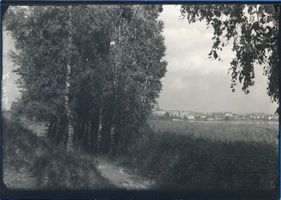  Lyck (Kreis), Birkenpromenade am Lyck-See mit Blick auf Lyck Masurische Seen