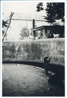 Königsberg (Pr.), Stadtkreis Königsberg Hufenallee Königsberg (Pr.), Tiergarten, Tiefgehege am Eingang Hufenallee Кёнигсберг (Пр.), зоопарк, глубокий вольер у входа с Хуфеналлее