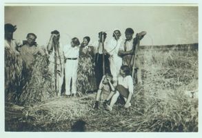 Schönlinde Kr. Gerdauen, Kreis Gerdauen 