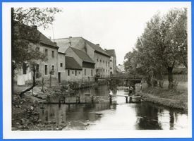 Goldap, Kreis Goldap 