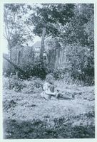 Petrineusaß, Kreis Gerdauen 