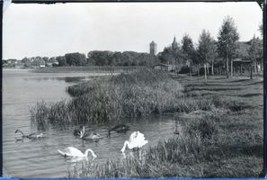 Ortelsburg, Stadt, Kreis Ortelsburg Ortelsburg, Am großen Haussee III Ortelsburg, Haussee