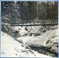  Rominter Heide, Pirschsteig 