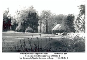 Ibenhorst, Gutsbezirk und Staatsforst, Kreis Elchniederung 