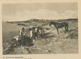  Kurische Nehrung, Im Triebsand eingesunkenes Fuhrwerk II Kurische Nehrung, Dünen