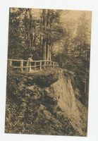 Vogelsang Stadtkr. Elbing, Stadtkreis Elbing Vogelsang Stadtkr. Elbing, Nymphenberg Фогельзанг, городской округ Эльбинг, Нимфенберг