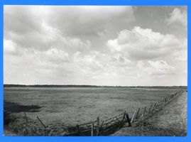 Lankuppen, Kreis Memel Lankuppen, Memelländische Landschaft Ланкуппен, мемельландский пейзаж
