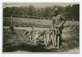 Pait, Kreis Elchniederung 