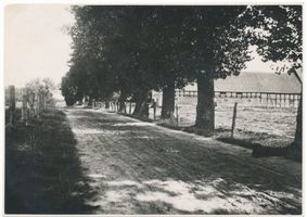 Perkuiken Kr. Bartenstein, Kreis Bartenstein Perkuiken Kr. Bartenstein, Scheune vom Vorwerk Oberhausen, Weg nach Lengen Перкуйкен, уезд Бартенштайн, амбар фольварка Оберхаузен, дорога на Ленген