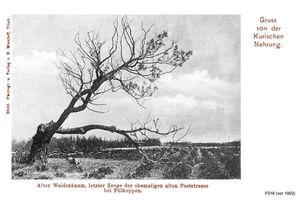 Pillkoppen, Kreis Samland 