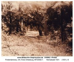 Finsterdamerau, Ort, Kreis Ortelsburg  