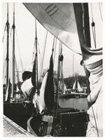 Pillau, Seestadt, Kreis Samland 