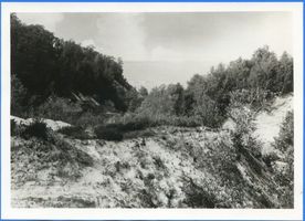  Samländische Steilküste, Gausupschlucht Самбийский обрывистый берег, ущелье Гаузуп