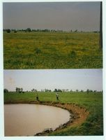 Skuldeinen, Kreis Elchniederung