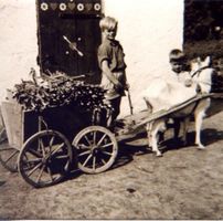 Waldau Kr. Samland, Ort, Kreis Samland