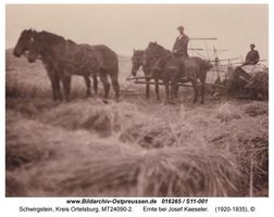 Schwirgstein Kr. Ortelsburg, Kreis Ortelsburg