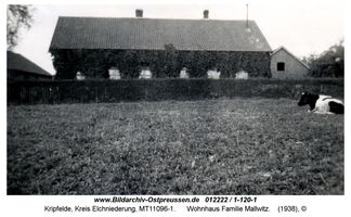 Kripfelde, Kreis Elchniederung
