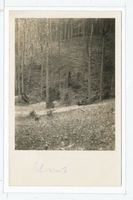 Schwarzort, Kreis Memel
