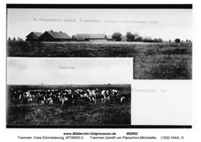 Trammen, Kreis Elchniederung