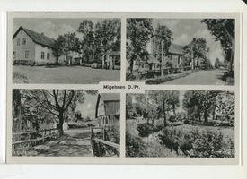 Migehnen, Kreis Braunsberg