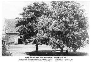 Junkerken, Kreis Rastenburg