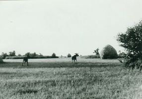 Karkeln, Kreis Elchniederung