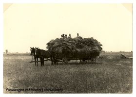 Moorhof, Kreis Gumbinnen