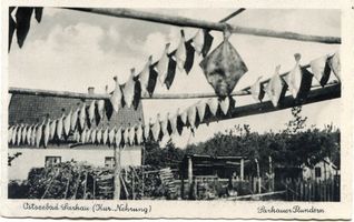 Sarkau, Kreis Samland