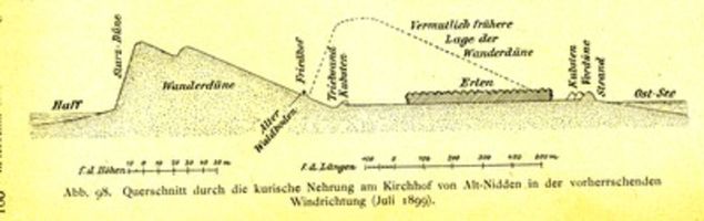 Nidden, Kreis Memel Nidden, Querschnitt durch die Kurische Nehrung am Kirchhof von Alt-Nidden in der vorherrschenden Windrichtung Kurische Nehrung, Dünen
