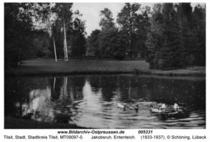 Tilsit, Stadt, Stadtkreis Tilsit Tilsit, Park Jakobsruh, Schwanenteich