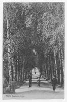 Tilsit, Stadt, Stadtkreis Tilsit Reylaender Allee Tilsit, Reylaender Allee II